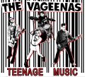 The Vageenas - Teenage Music LP